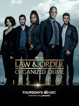 法律与秩序：组织犯罪第三季在线观看